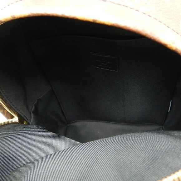 Louis Vuitton Monogram Palm Springs Backpack PM Brown Rucksack - Picture 6 of 6